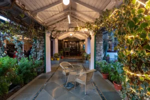 Cozy outdoor seating area with plants and lights at Royal Heritage Nainital